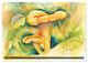 Thumbnail-14