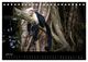 Thumbnail-8
