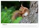 Thumbnail-12