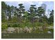 Thumbnail-9