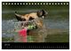 Thumbnail-9