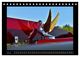 Thumbnail-11