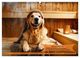 Thumbnail-12