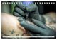 Thumbnail-13