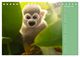 Thumbnail-12