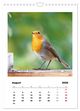 Thumbnail-13