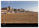 Thumbnail-11