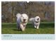 Thumbnail-14
