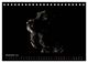 Thumbnail-14