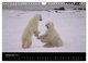 Thumbnail-11