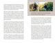 Thumbnail-9