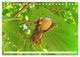 Thumbnail-13
