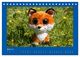 Thumbnail-9