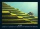 Thumbnail-11