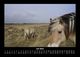 Thumbnail-11