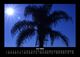 Thumbnail-10