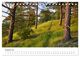 Thumbnail-10