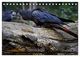 Thumbnail-14