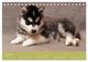 Thumbnail-9