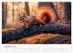 Thumbnail-14