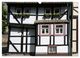 Thumbnail-13