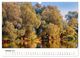 Thumbnail-12