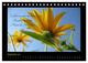 Thumbnail-14
