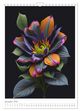 Thumbnail-13