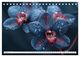 Thumbnail-12