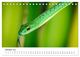 Thumbnail-12