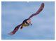 Thumbnail-11