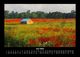 Thumbnail-10