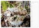 Thumbnail-12