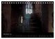 Thumbnail-13
