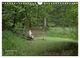 Thumbnail-14