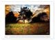 Thumbnail-10