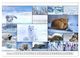 Thumbnail-14