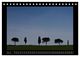 Thumbnail-9