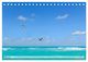 Thumbnail-8