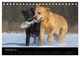 Thumbnail-14