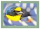 Thumbnail-8