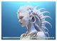 Thumbnail-10