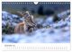 Thumbnail-14