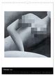 Thumbnail-13