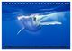 Thumbnail-11