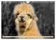 Thumbnail-9