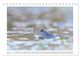 Thumbnail-14