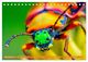 Thumbnail-3