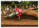 Thumbnail-14