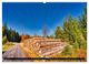 Thumbnail-11